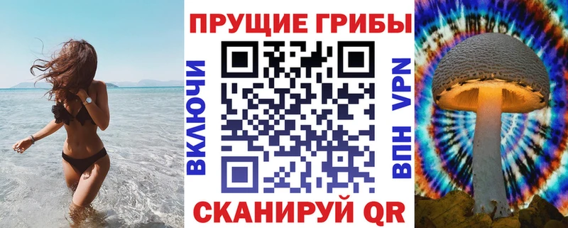 цены   Красноярск  Галлюциногенные грибы прущие грибы 