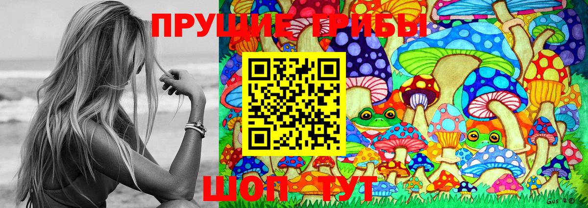 Галлюциногенные грибы прущие грибы  Вход с VPN  Псилоцибиновые грибы мухоморы  Красноярск 