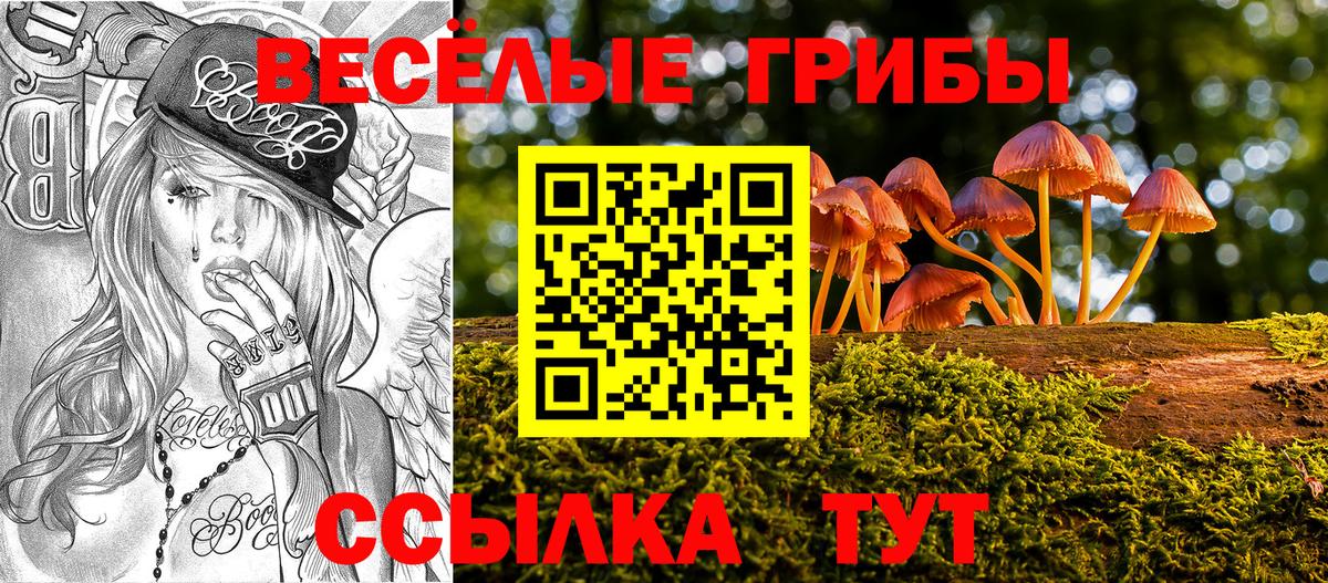 Галлюциногенные грибы GOLDEN TEACHER Красноярск