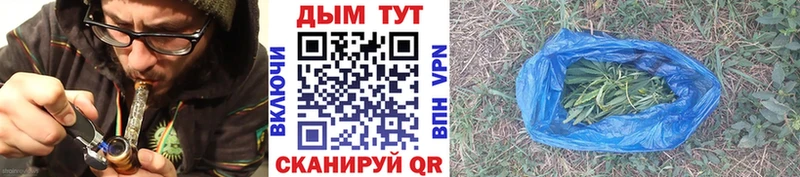 Конопля семена  купить наркоту  Красноярск 